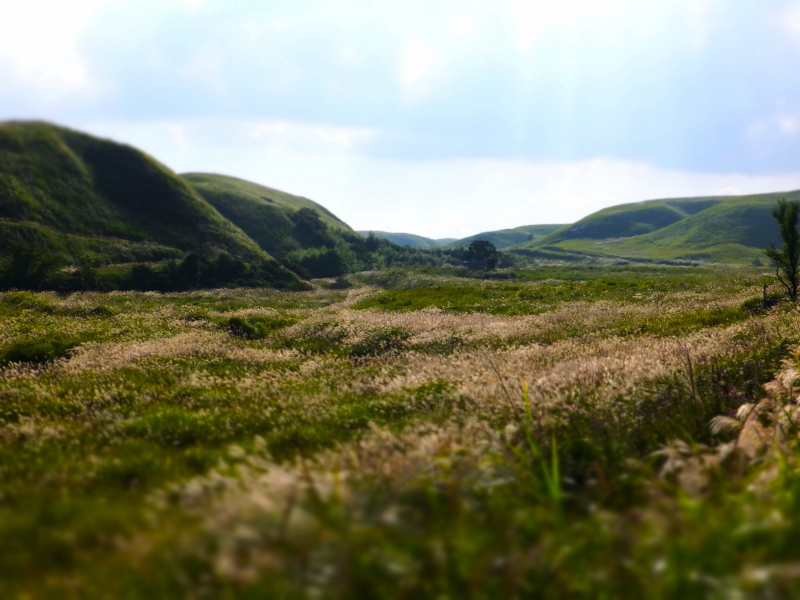 DSCF2583.JPG