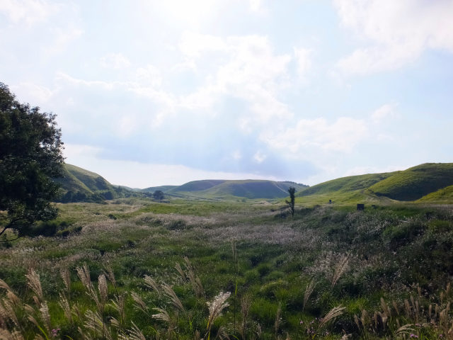 DSCF2591.JPG