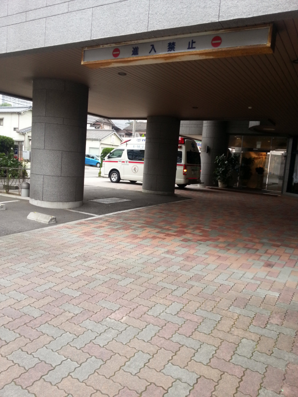 20141108_084249.JPG