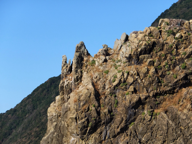 DSCF2886.JPG