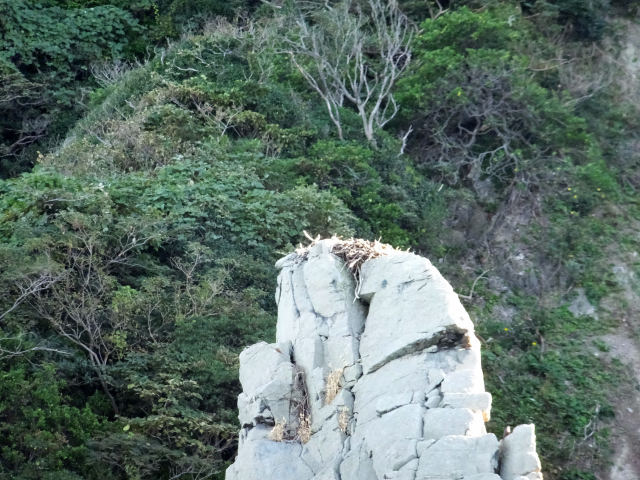DSCF2930.JPG