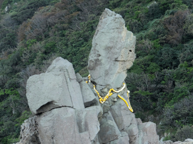 DSCF2964.JPG