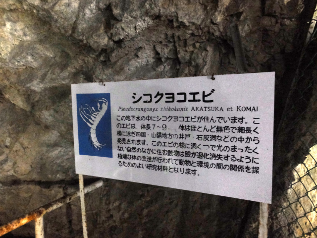 DSCF3019.JPG