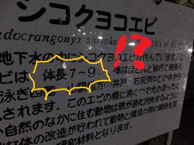 DSCF3021.JPG