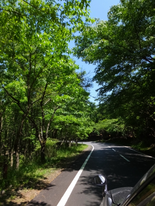 DSCF6756.JPG