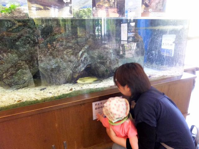 DSCF6760.JPG
