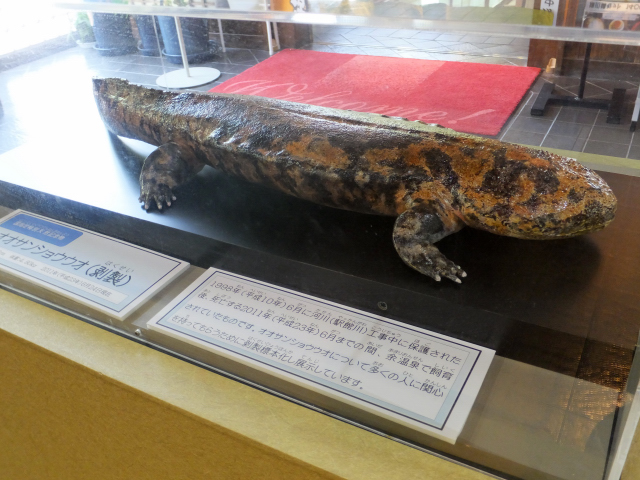 DSCF6761.JPG