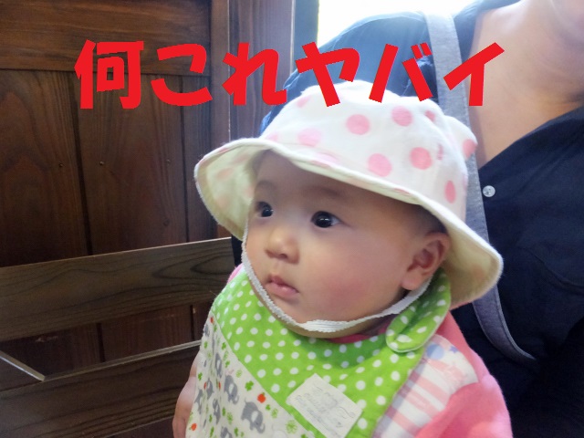DSCF6765.JPG