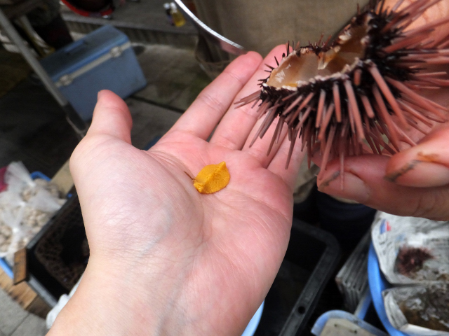 DSCF7390.JPG