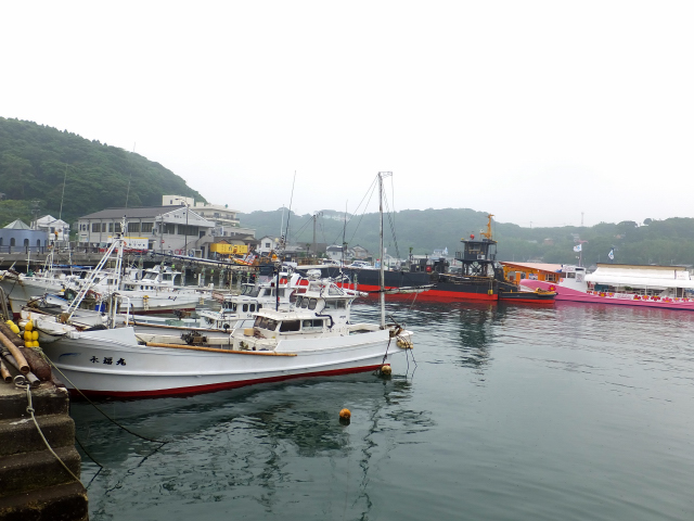 DSCF7395.JPG