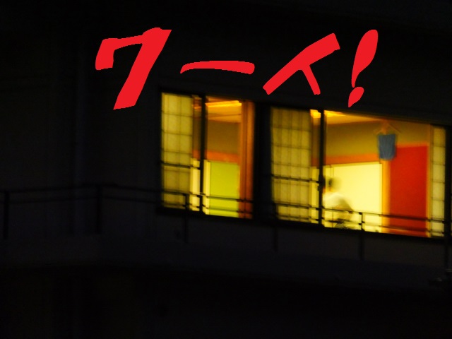 DSCF7769.JPG