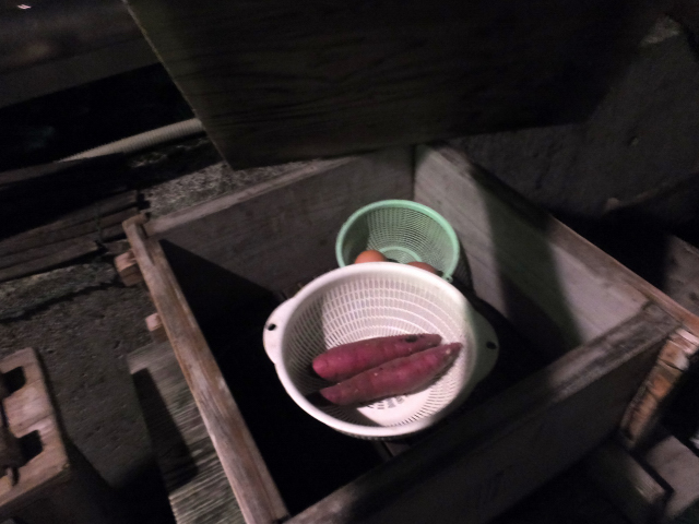 DSCF7778.JPG