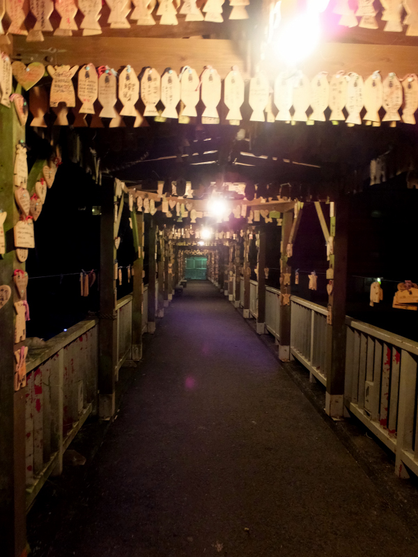 DSCF7800.JPG