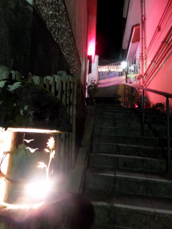 DSCF7809.JPG