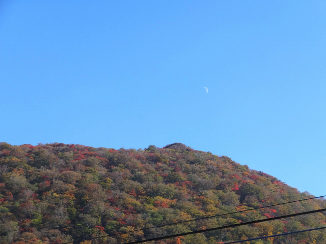 DSCF9324.JPG