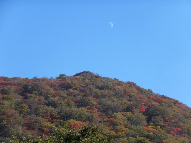 DSCF9329.JPG
