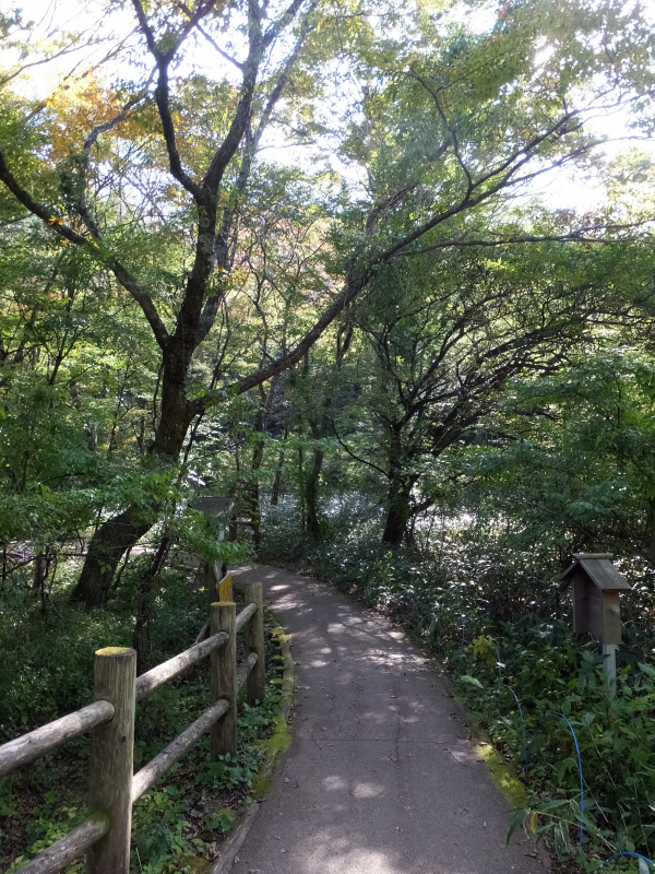 DSCF9334.JPG