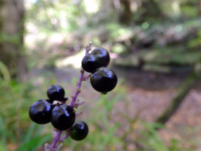 DSCF9355.JPG