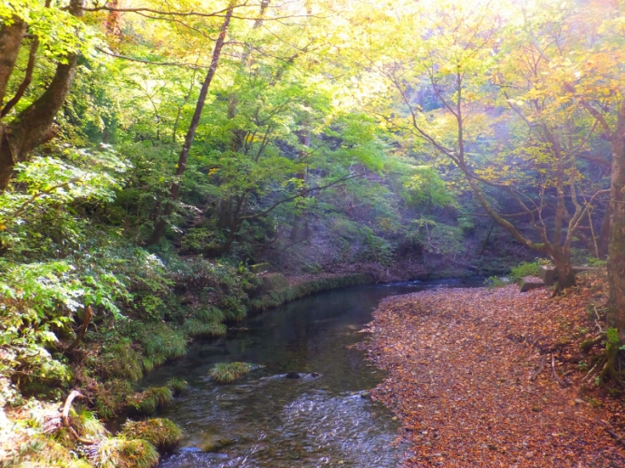 DSCF9360.JPG