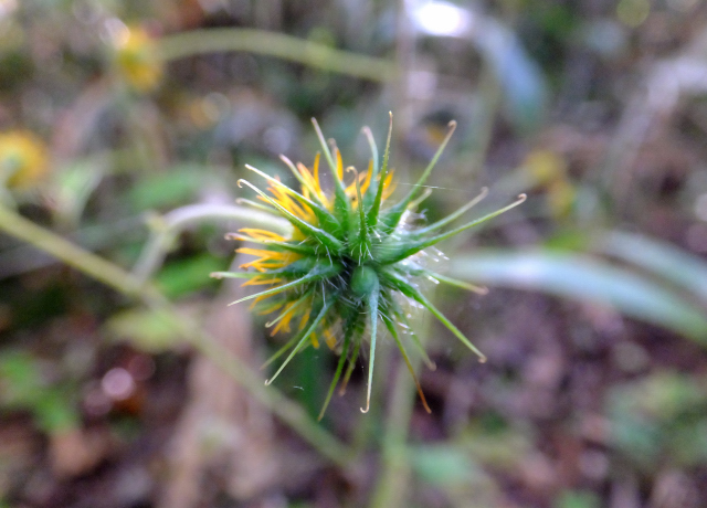 DSCF9361.JPG