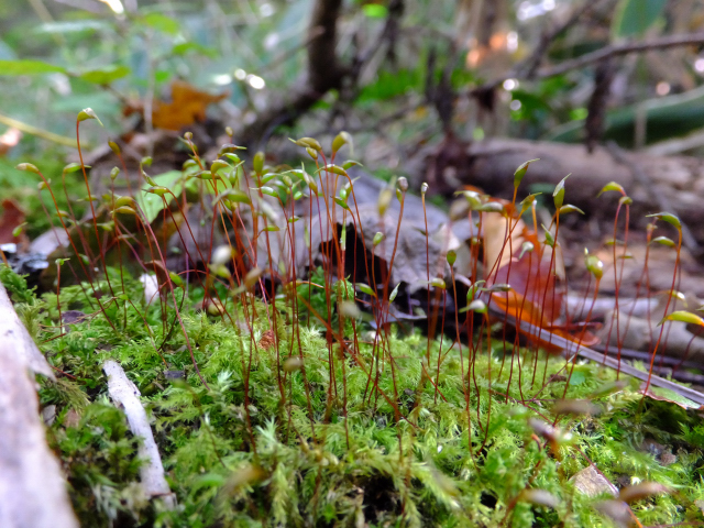 DSCF9364.JPG