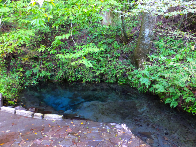 DSCF9370.JPG