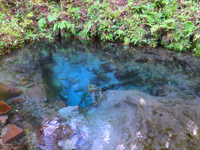 DSCF9373.JPG