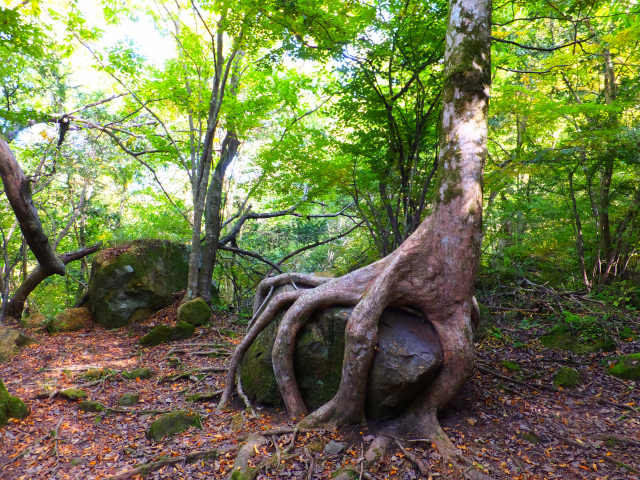 DSCF9384.JPG