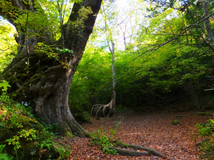 DSCF9396.JPG