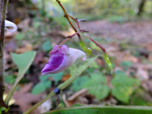 DSCF9405.JPG