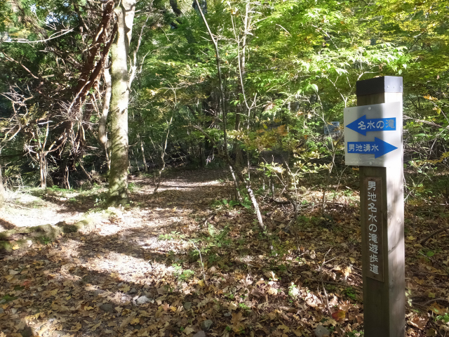 DSCF9414.JPG