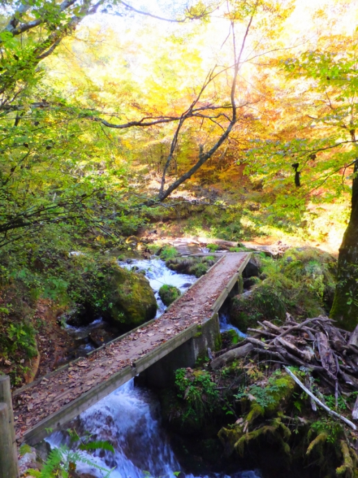 DSCF9421.JPG