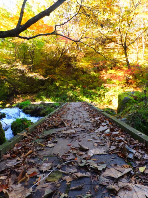 DSCF9429.JPG