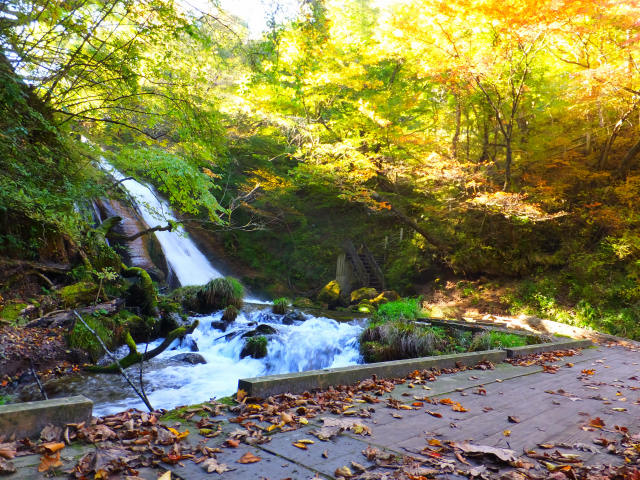 DSCF9430.JPG