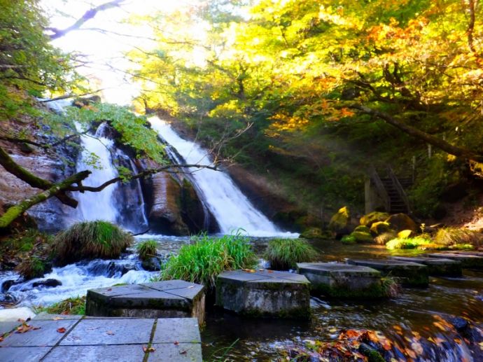 DSCF9439.JPG