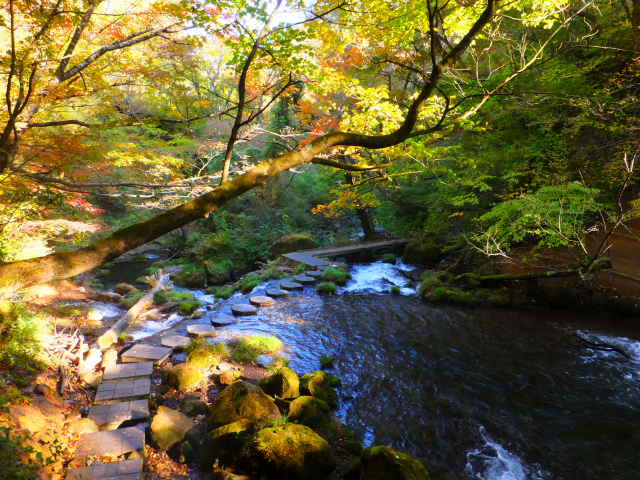 DSCF9449.JPG