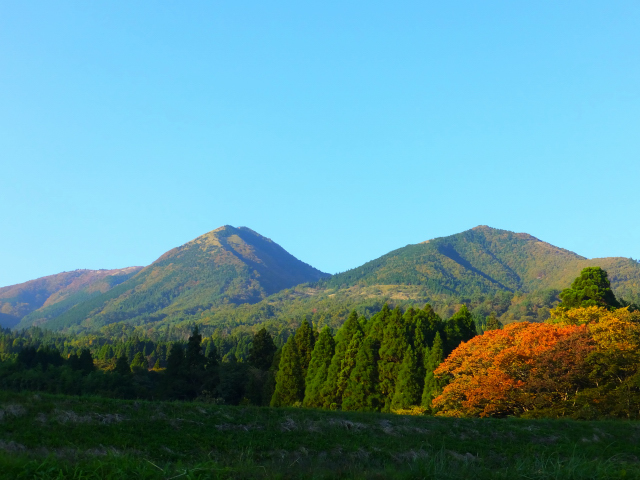 DSCF9474.JPG