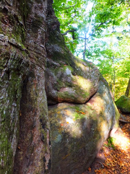 DSCF9393.JPG