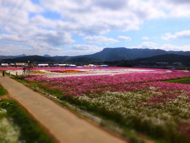 DSCF9503.JPG