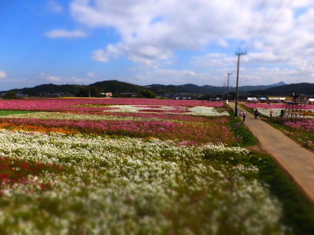 DSCF9504.JPG