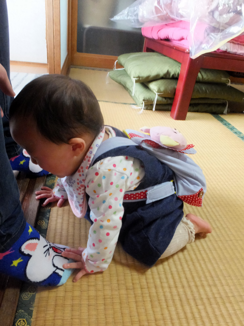 DSCF0113.JPG
