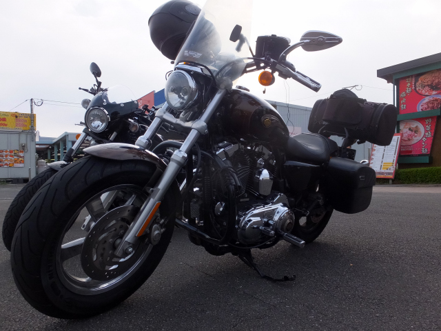 DSCF9770.JPG
