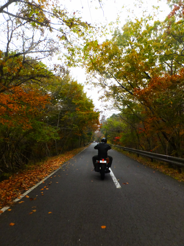 DSCF9897.JPG