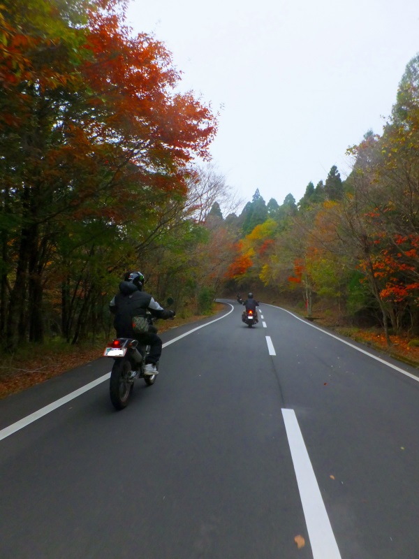 DSCF9909.JPG