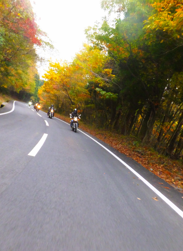 DSCF9913.JPG
