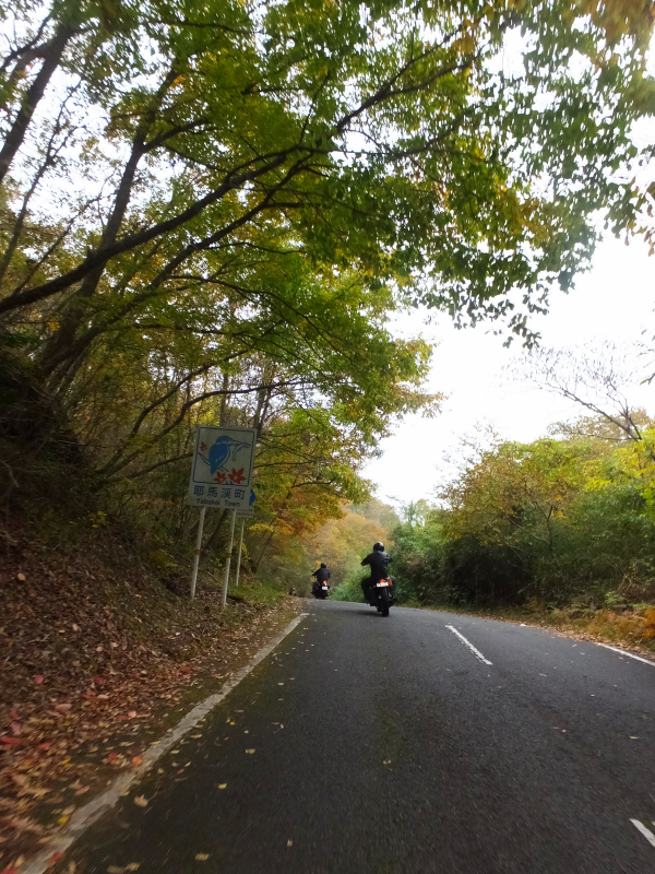 DSCF9981.JPG