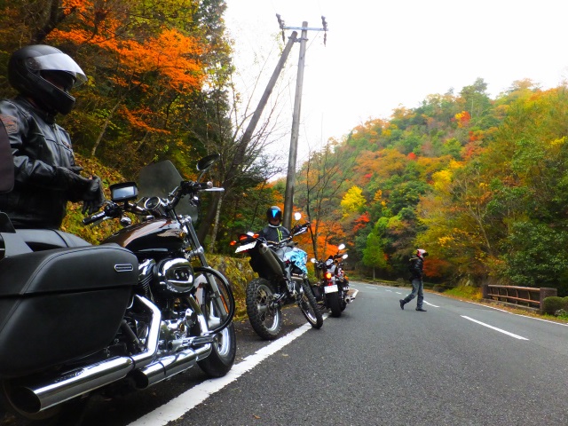 DSCF9988.JPG