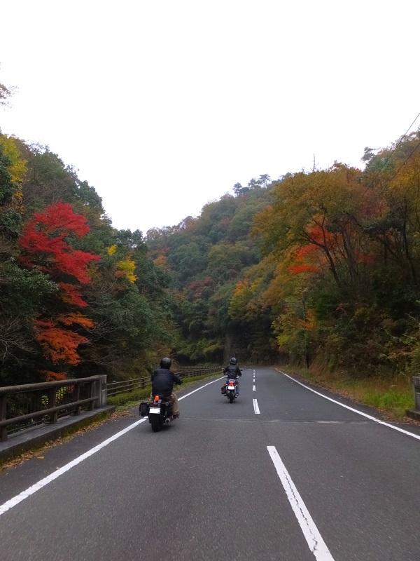 DSCF0005.JPG