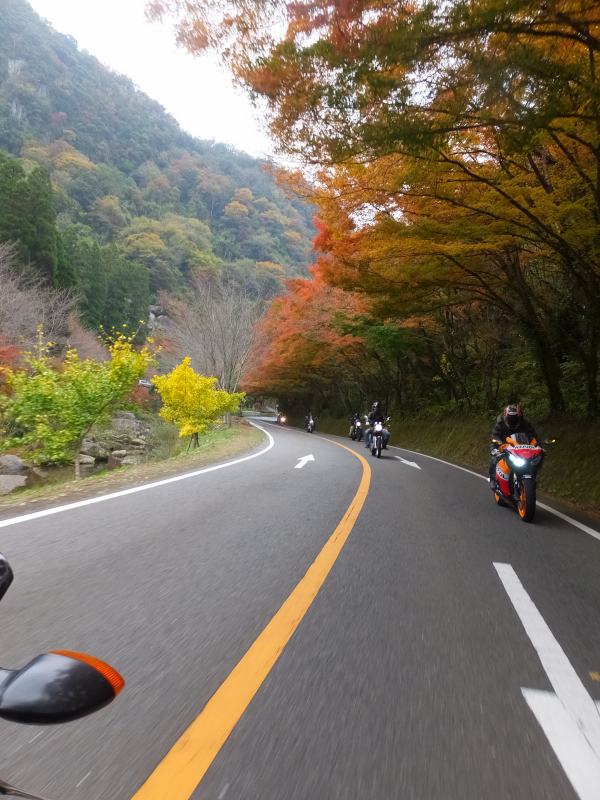 DSCF0021.JPG