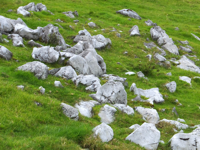 DSCF8320.JPG
